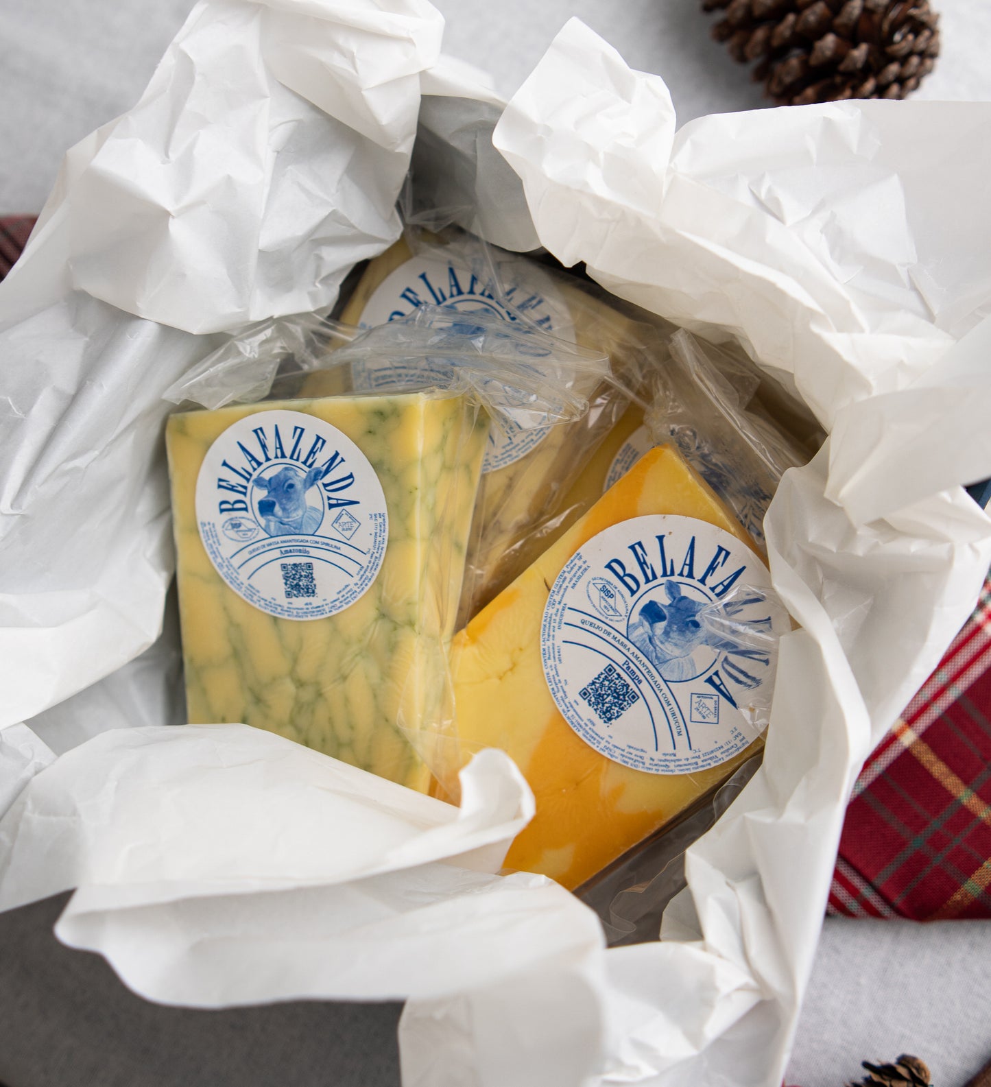 Kit Cheddar (4 queijos)