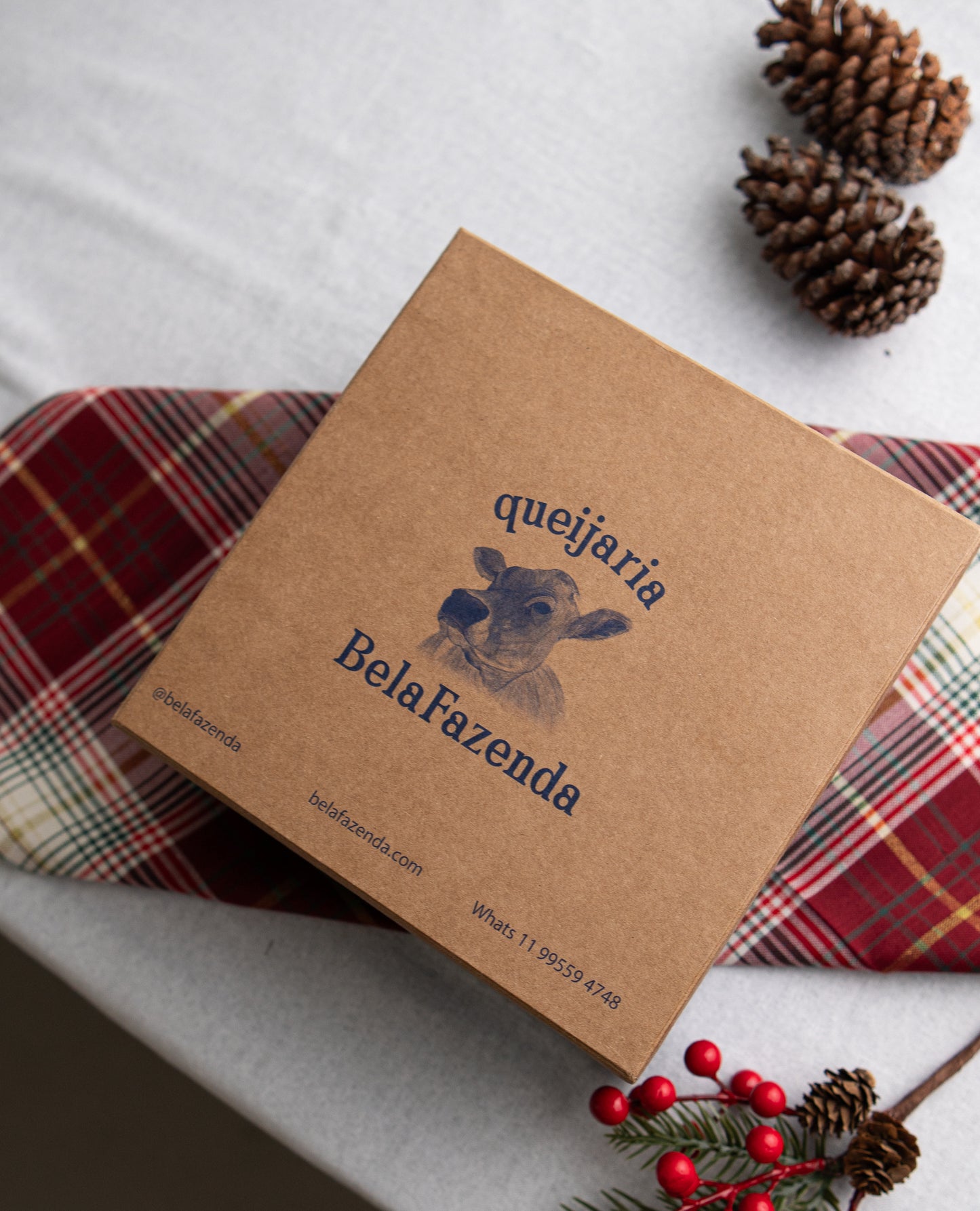 Kit Festivo - Cheddar