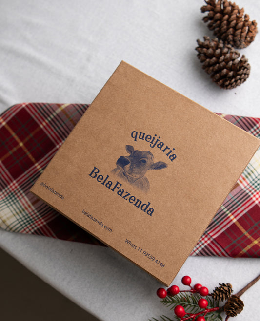 KIT FESTIVO - Cheddar