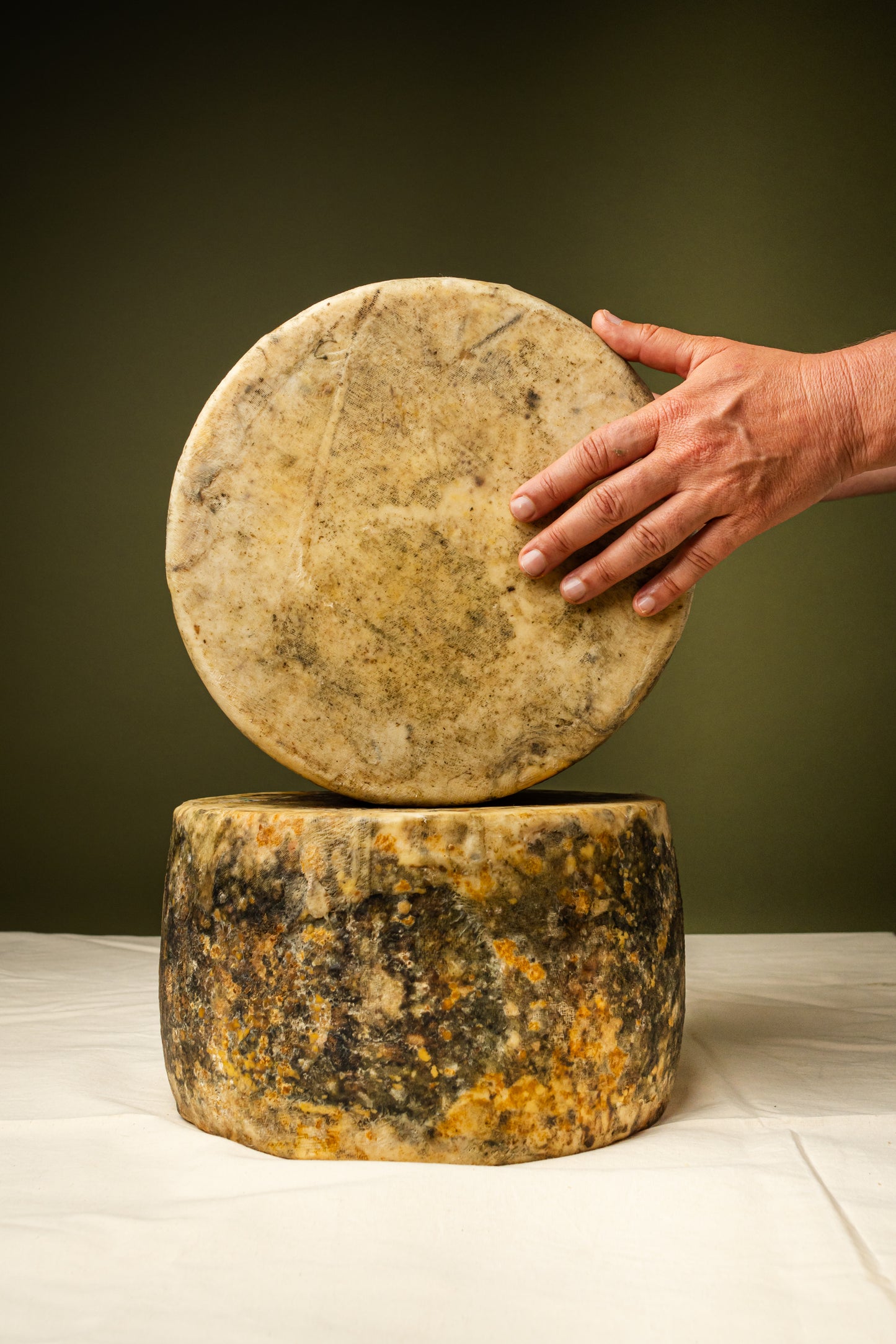 Degustação em São Paulo