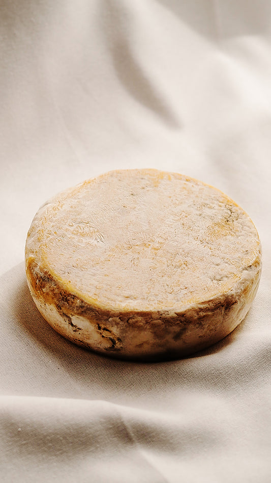 Queijo Bem Brasil